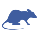 Rat Rat