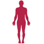 Human Human