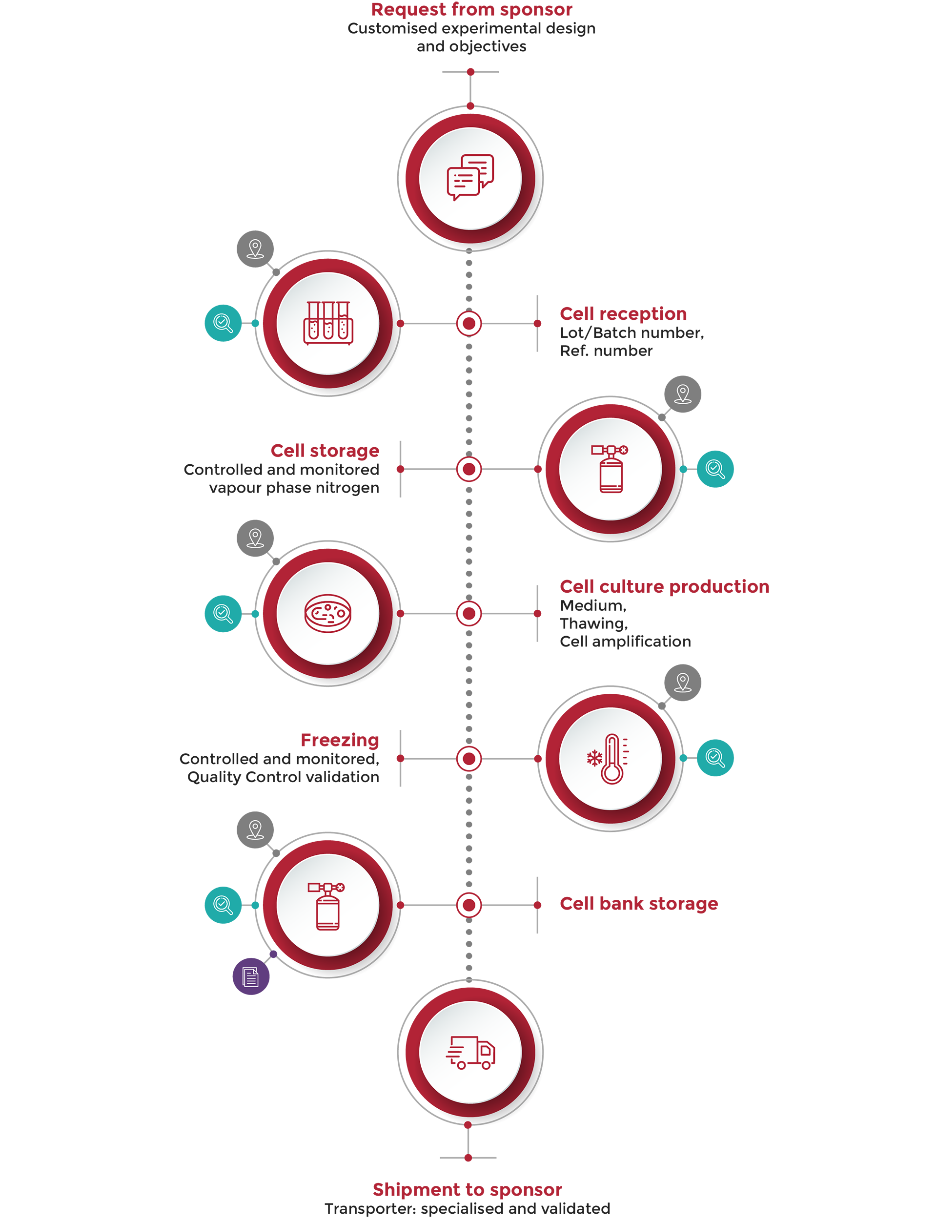 human-cell-design-schema-design-process-mobile-image human-cell-design-schema-design-process-mobile-image