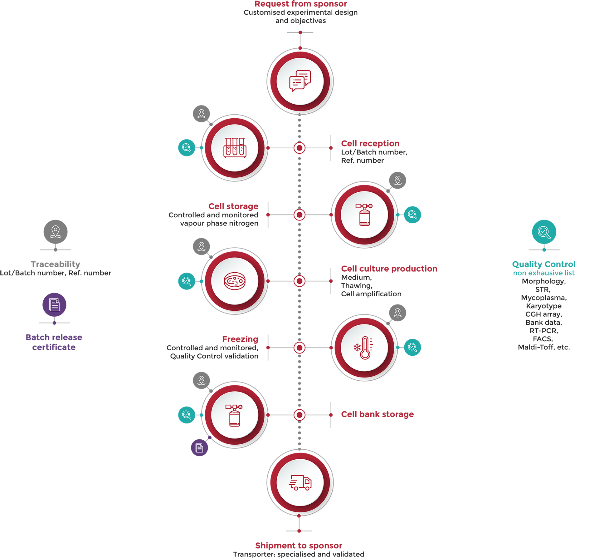 human-cell-design-schema-design-process-web human-cell-design-schema-design-process-web