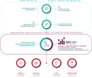 The NatLine® platform - Human Cell Design