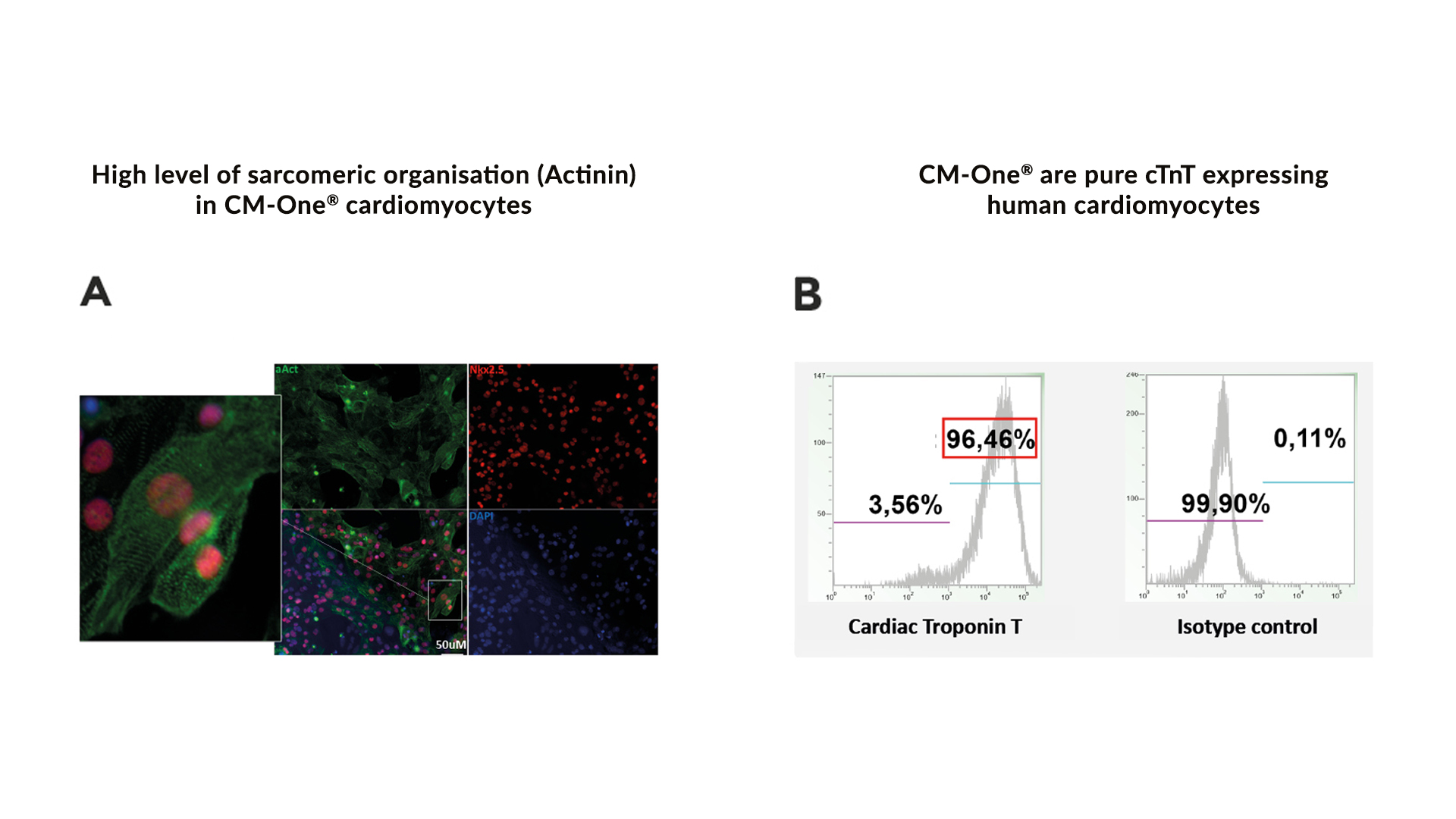 technical-validation-sheet-cm-one-human-cell-design-2020-12-figure-1