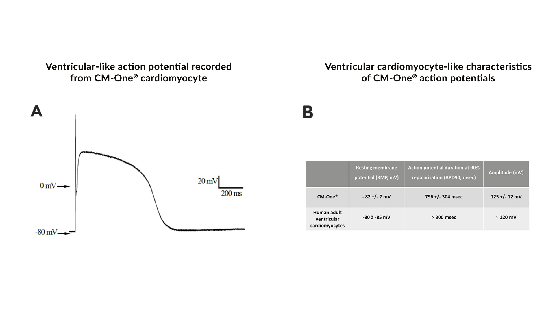 technical-validation-sheet-cm-one-human-cell-design-2020-12-figure-2