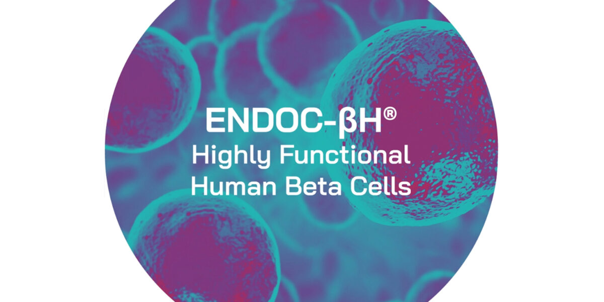 news-human-cell-design-new-endoc-bh5-human-beta-cells-100-pure-and-standardized-population
