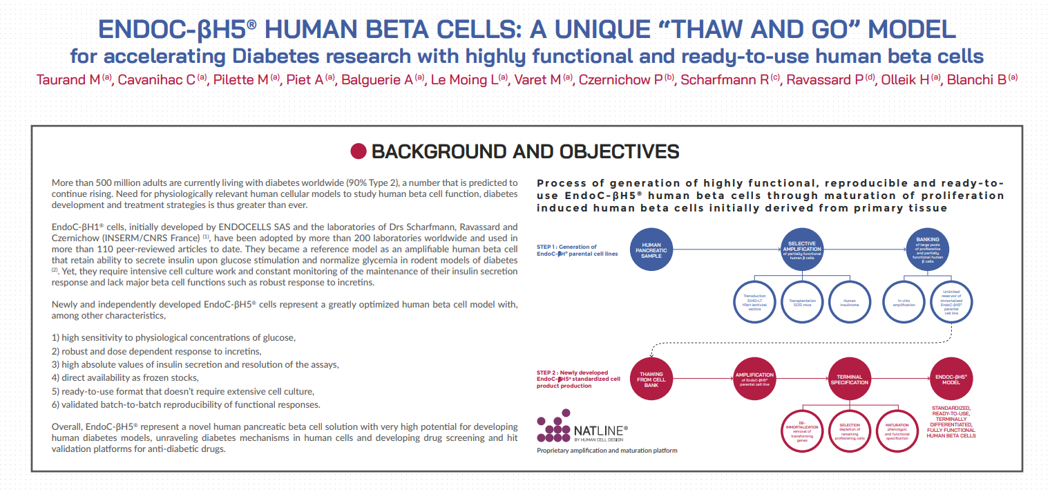 poster-human-cell-design-Endoc-βH5-HUMAN-BETA-CELLS-A-UNIQUE-THAW-AND-GO-MODEL