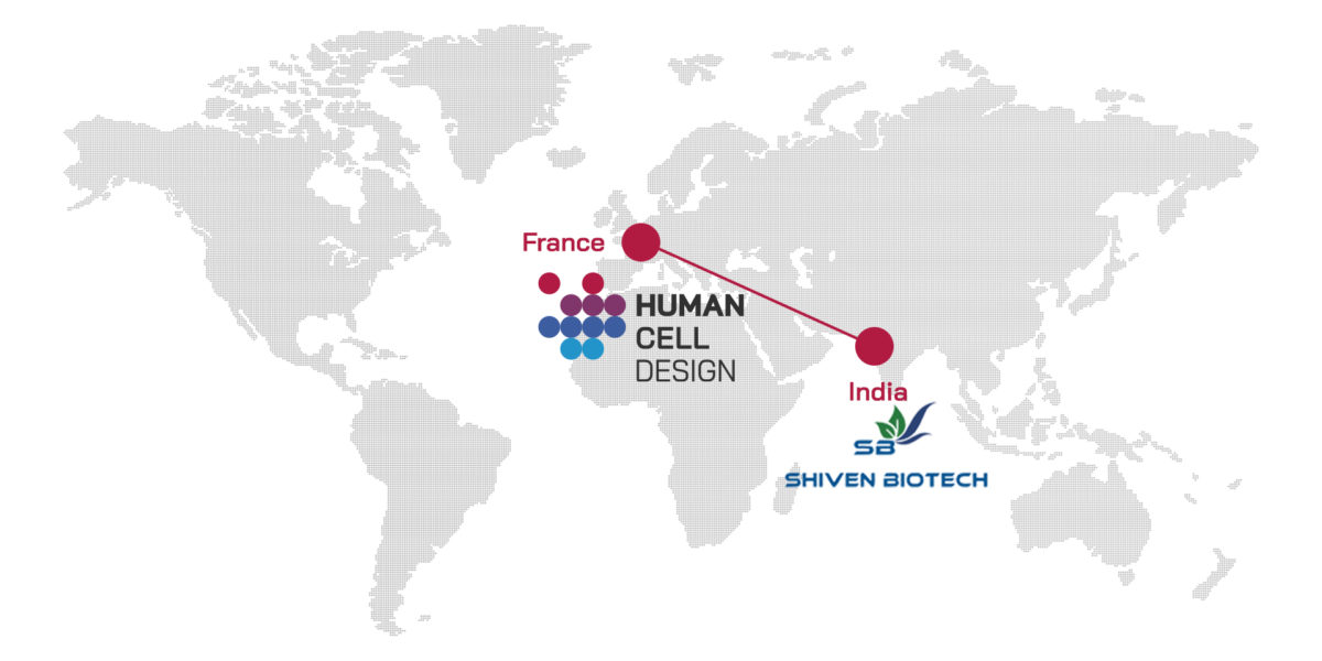 news-human-cell-design-india-distribution-2024
