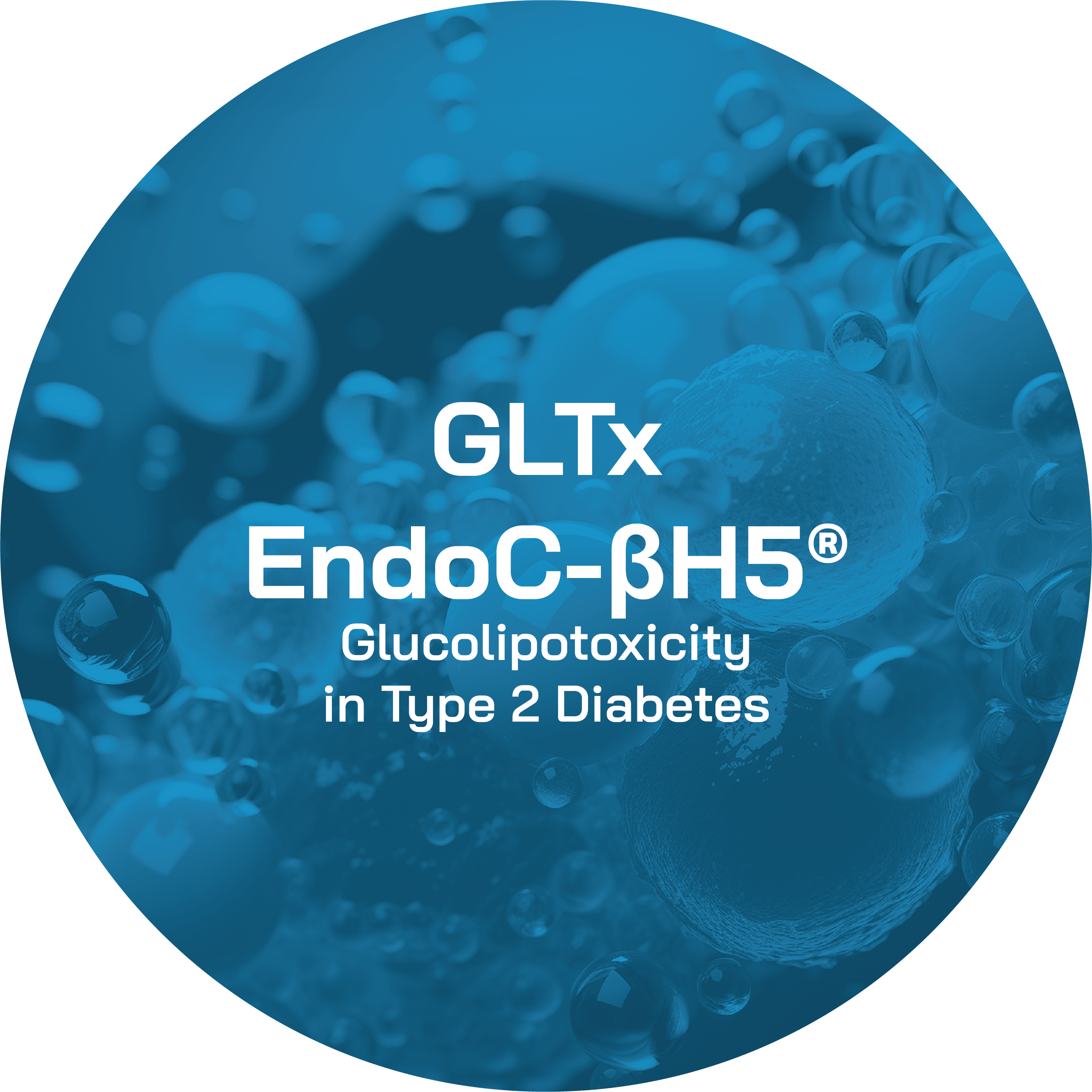 GLTx EndoC-BH5
