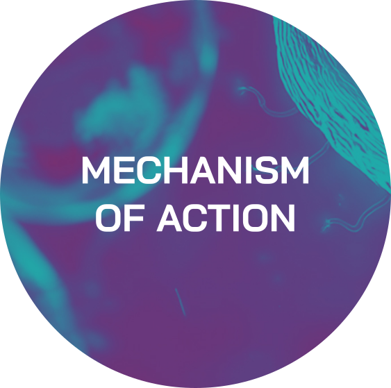 Mechanism of Action