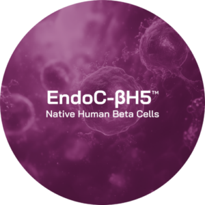 endoc-bh5-cells-human-cell-design