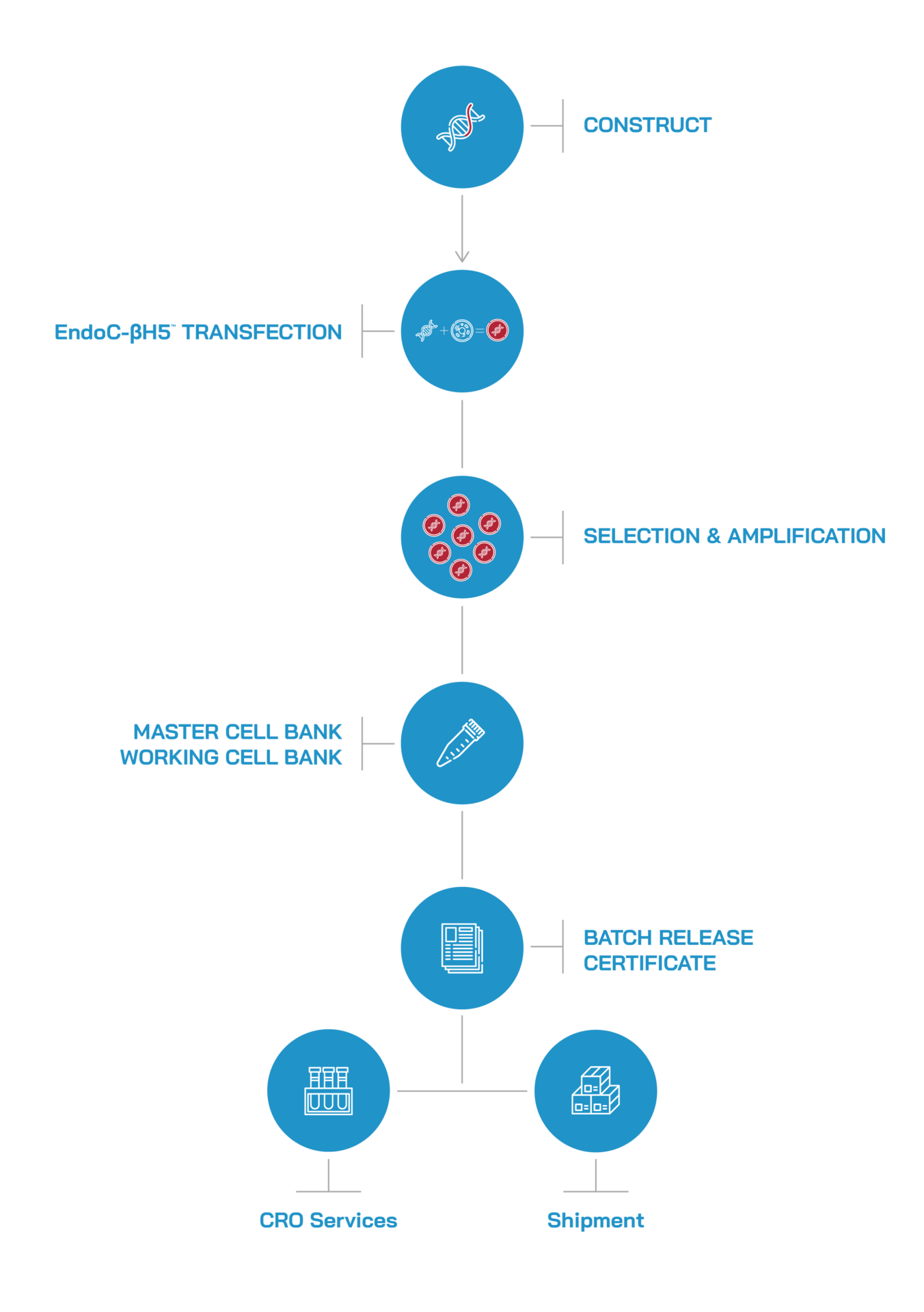 human-cell-design-schemas-platforms-2026_Adapt