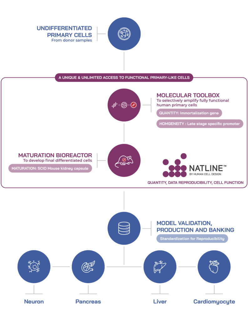 human-cell-design-schemas-platforms-2026_Natline